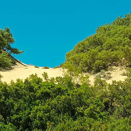 Casa Zenobio דירה *