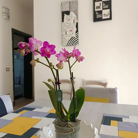 Casa Zenobio