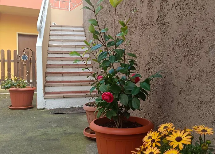 Casa Zenobio Appartamento