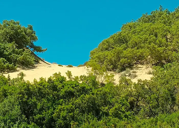 Casa Zenobio Appartamento *